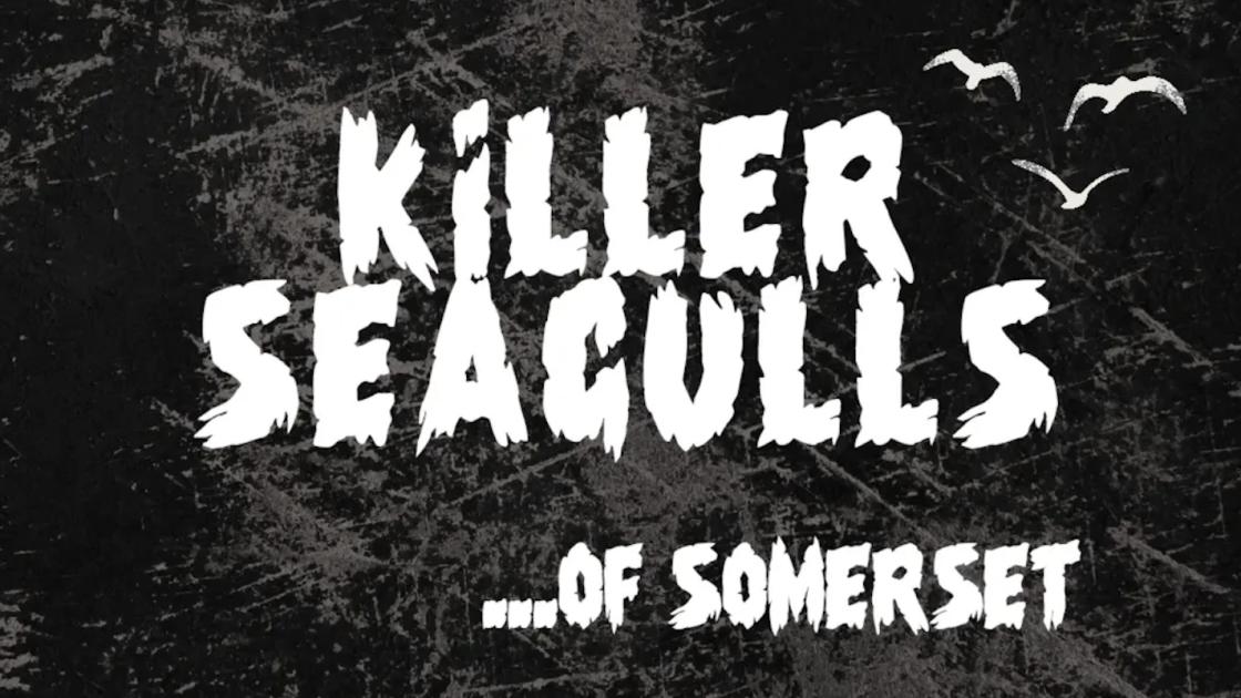 KILLER SEAGULLS ...of Somerset (a Weirdos Comedy Halloween Special)