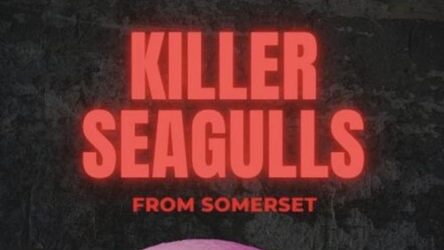 KILLER SEAGULLS (from Somerset) a Weirdos Comedy Halloween Special
